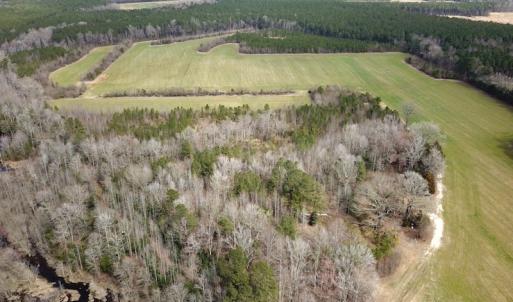 Photo #13 of 7245 General Mahone Hwy , Waverly, VA 62.0 acres