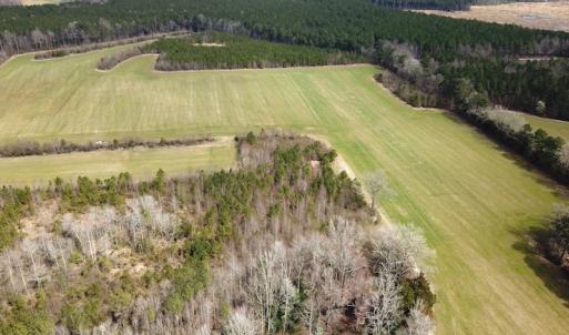 Photo #14 of 7245 General Mahone Hwy , Waverly, VA 62.0 acres