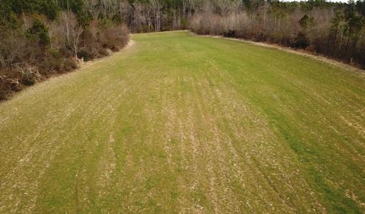 Photo #17 of 7245 General Mahone Hwy , Waverly, VA 62.0 acres