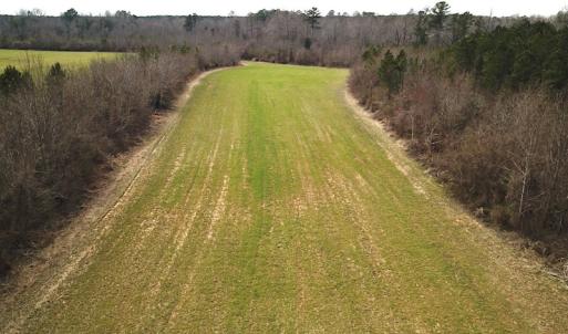 Photo #18 of 7245 General Mahone Hwy , Waverly, VA 62.0 acres