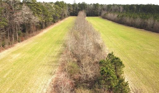 Photo #19 of 7245 General Mahone Hwy , Waverly, VA 62.0 acres