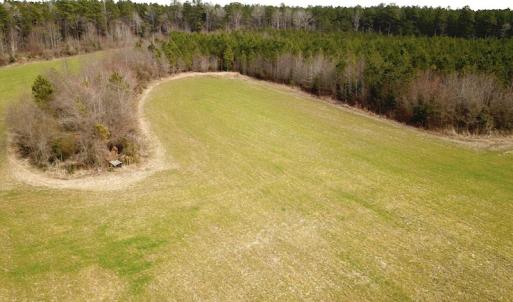 Photo #21 of 7245 General Mahone Hwy , Waverly, VA 62.0 acres