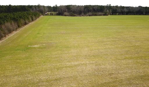 Photo #22 of 7245 General Mahone Hwy , Waverly, VA 62.0 acres