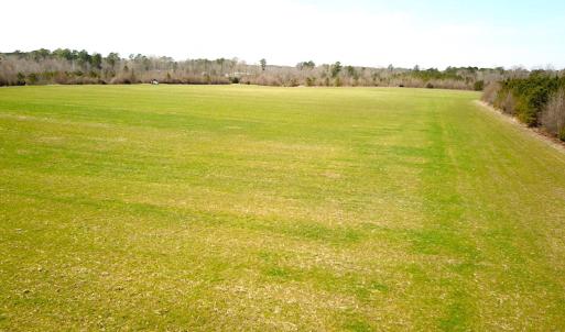 Photo #23 of 7245 General Mahone Hwy , Waverly, VA 62.0 acres