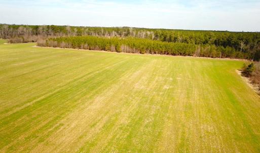 Photo #26 of 7245 General Mahone Hwy , Waverly, VA 62.0 acres