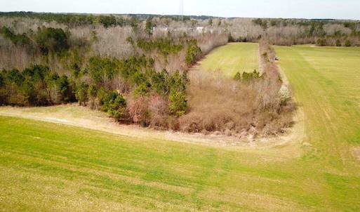 Photo #28 of 7245 General Mahone Hwy , Waverly, VA 62.0 acres