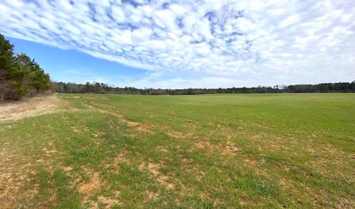 Photo #33 of 7245 General Mahone Hwy , Waverly, VA 62.0 acres