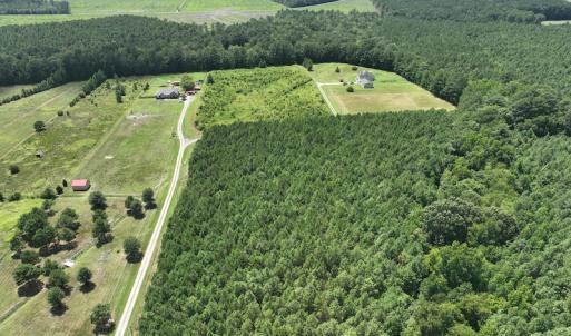 Photo #11 of SOLD property in Off NC HWY 32 N, Corapeake, NC 10.0 acres