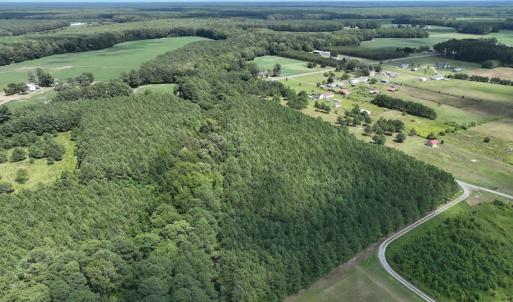 Photo #14 of SOLD property in Off NC HWY 32 N, Corapeake, NC 10.0 acres