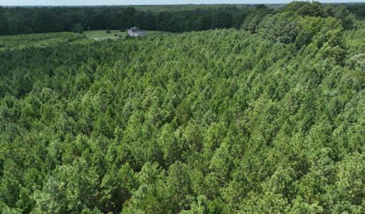 Photo #16 of SOLD property in Off NC HWY 32 N, Corapeake, NC 10.0 acres