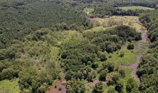 Photo #7 of SOLD property in Off Savage Road,  Spring Hope , NC 200.0 acres