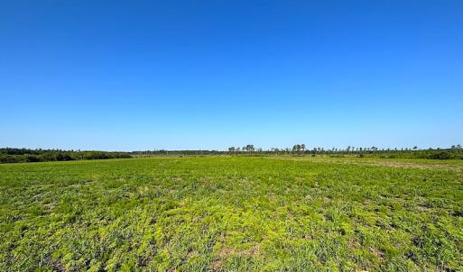 Photo #17 of SOLD property in Off Carolina Rd, Suffolk, VA 115.0 acres