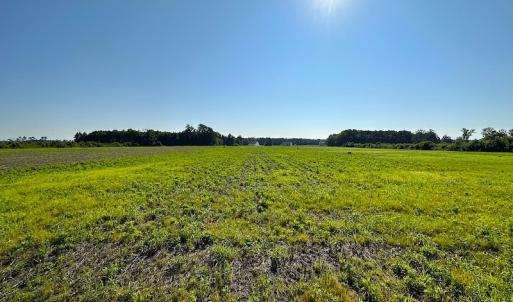 Photo #20 of SOLD property in Off Carolina Rd, Suffolk, VA 115.0 acres