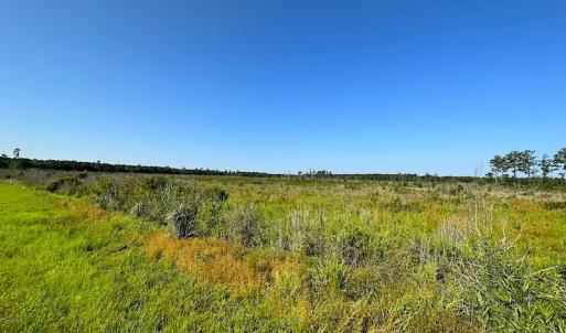 Photo #21 of SOLD property in Off Carolina Rd, Suffolk, VA 115.0 acres