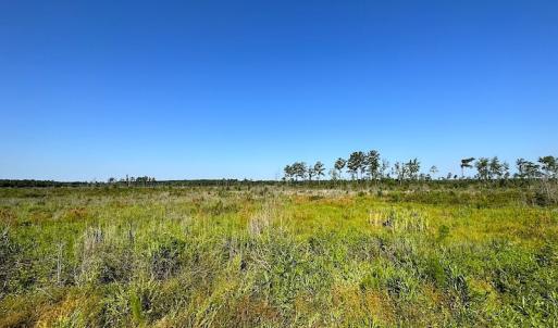 Photo #22 of SOLD property in Off Carolina Rd, Suffolk, VA 115.0 acres