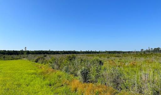Photo #23 of SOLD property in Off Carolina Rd, Suffolk, VA 115.0 acres