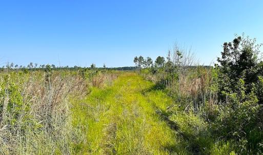 Photo #24 of SOLD property in Off Carolina Rd, Suffolk, VA 115.0 acres
