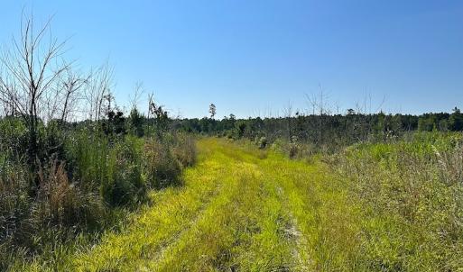 Photo #25 of SOLD property in Off Carolina Rd, Suffolk, VA 115.0 acres