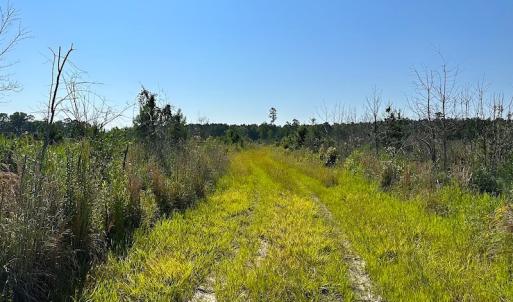 Photo #26 of SOLD property in Off Carolina Rd, Suffolk, VA 115.0 acres