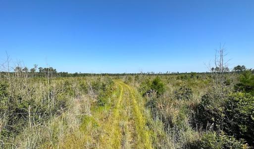 Photo #27 of SOLD property in Off Carolina Rd, Suffolk, VA 115.0 acres
