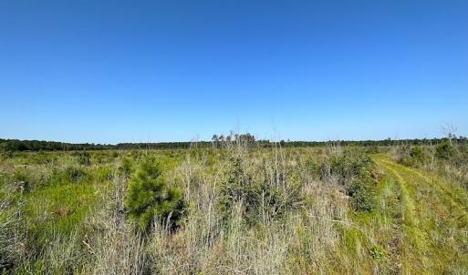 Photo #29 of SOLD property in Off Carolina Rd, Suffolk, VA 115.0 acres