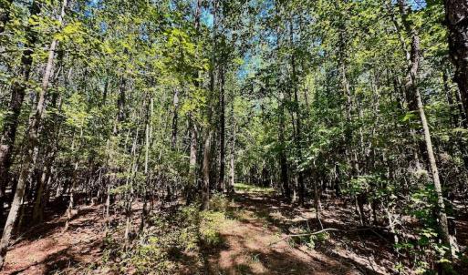 Photo #37 of SOLD property in Off Hargrave Rd, Jackson, NC 41.0 acres