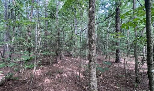 Photo #24 of SOLD property in Off Warren County Acres Road , Littleton, NC 8.0 acres