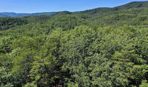 Photo #2 of SOLD property in Off Doe Circle, Clifton Forge, VA 10.6 acres