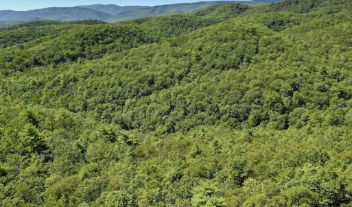 Photo #3 of SOLD property in Off Doe Circle, Clifton Forge, VA 10.6 acres