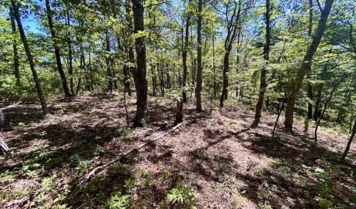 Photo #16 of SOLD property in Off Doe Circle, Clifton Forge, VA 10.6 acres