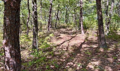 Photo #17 of SOLD property in Off Doe Circle, Clifton Forge, VA 10.6 acres