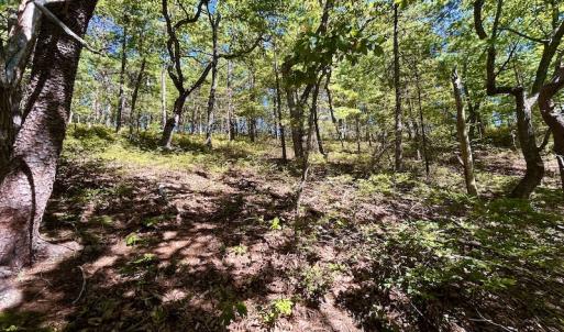 Photo #19 of SOLD property in Off Doe Circle, Clifton Forge, VA 10.6 acres