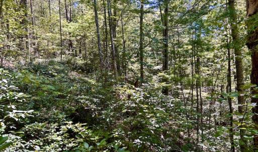 Photo #20 of SOLD property in Off Doe Circle, Clifton Forge, VA 10.6 acres