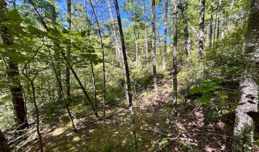 Photo #21 of SOLD property in Off Doe Circle, Clifton Forge, VA 10.6 acres
