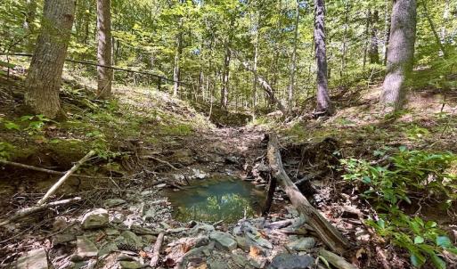 Photo #22 of SOLD property in Off Doe Circle, Clifton Forge, VA 10.6 acres