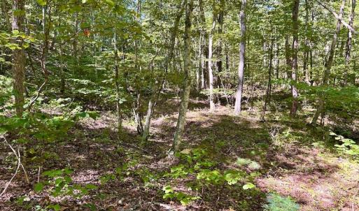 Photo #23 of SOLD property in Off Doe Circle, Clifton Forge, VA 10.6 acres