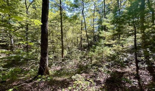 Photo #24 of SOLD property in Off Doe Circle, Clifton Forge, VA 10.6 acres
