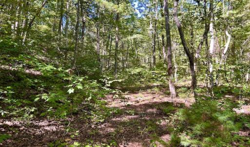 Photo #25 of SOLD property in Off Doe Circle, Clifton Forge, VA 10.6 acres