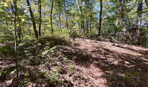 Photo #27 of SOLD property in Off Doe Circle, Clifton Forge, VA 10.6 acres