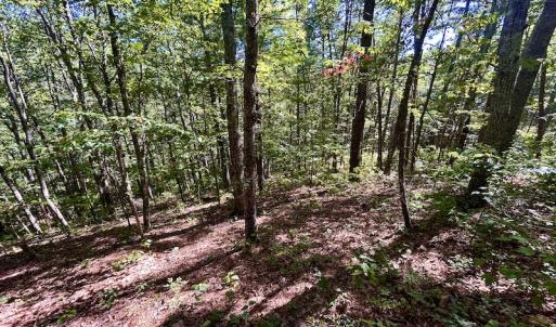 Photo #28 of SOLD property in Off Doe Circle, Clifton Forge, VA 10.6 acres