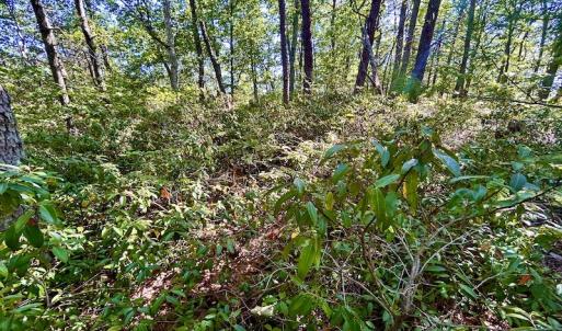 Photo #36 of SOLD property in Off Doe Circle, Clifton Forge, VA 10.6 acres
