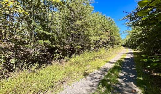 Photo #39 of SOLD property in Off Doe Circle, Clifton Forge, VA 10.6 acres