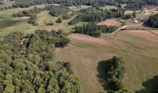 Photo #8 of SOLD property in Off Willis Pinnell Road , Norlina, NC 2.9 acres