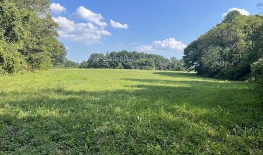 Photo #23 of SOLD property in Off Willis Pinnell Road , Norlina, NC 2.9 acres
