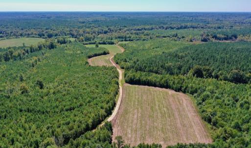 Photo #2 of SOLD property in Off Dennis Harris Rd, Macon, NC 138.1 acres