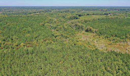 Photo #12 of SOLD property in Off Dennis Harris Rd, Macon, NC 138.1 acres