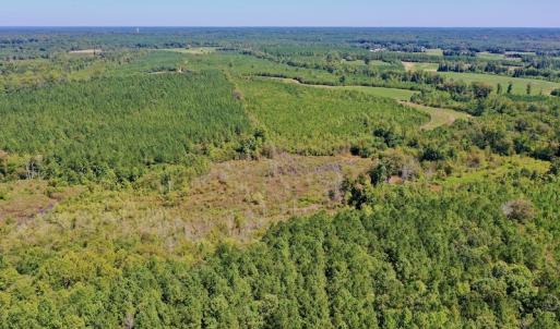 Photo #15 of SOLD property in Off Dennis Harris Rd, Macon, NC 138.1 acres