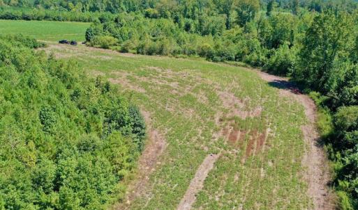 Photo #16 of SOLD property in Off Dennis Harris Rd, Macon, NC 138.1 acres