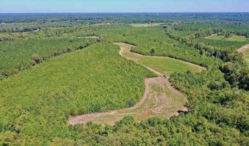 Photo #17 of SOLD property in Off Dennis Harris Rd, Macon, NC 138.1 acres