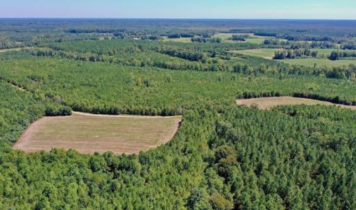 Photo #18 of SOLD property in Off Dennis Harris Rd, Macon, NC 138.1 acres